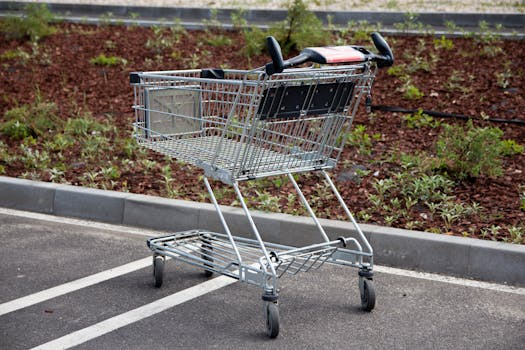 The Best Practices for Shopping at Large Warehouse Clubs