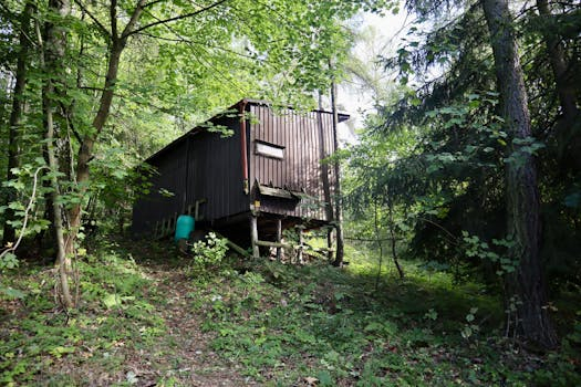 Exploring the World of Off-Grid and Sustainable Housing