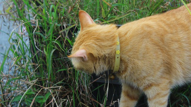 Exploring the Careers That Are Least Likely to Be Automated Soon