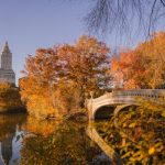 Building an Environment That Naturally Encourages Good Habits