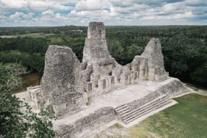 Understanding the Role of Art in Cognitive Development