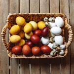 The Future of Food: Vertical Farms and Lab-Grown Protein