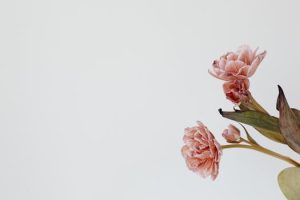 Simple Techniques for Dealing with Stage Fright Calmly